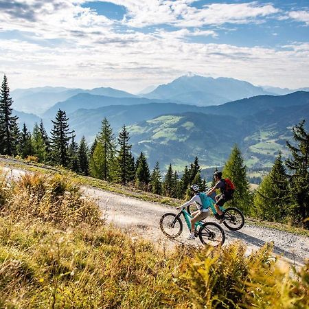 Chalet Auhof Flachau Kültér fotó