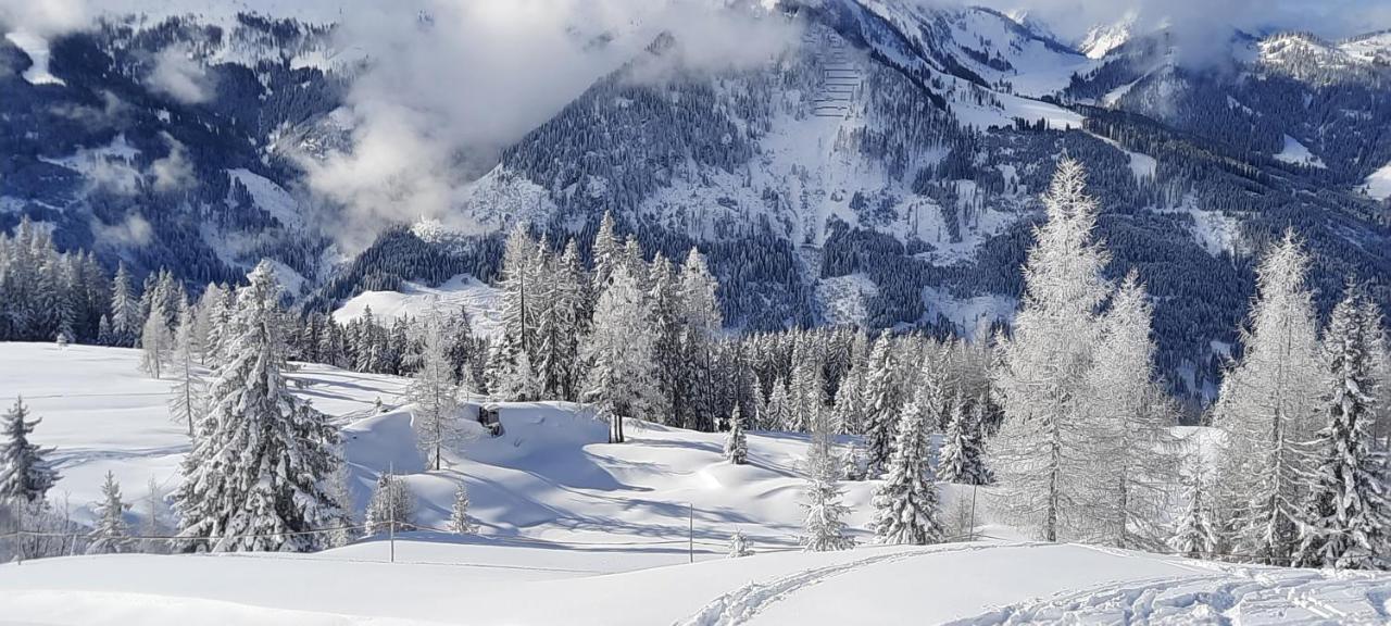 Chalet Auhof Flachau Kültér fotó