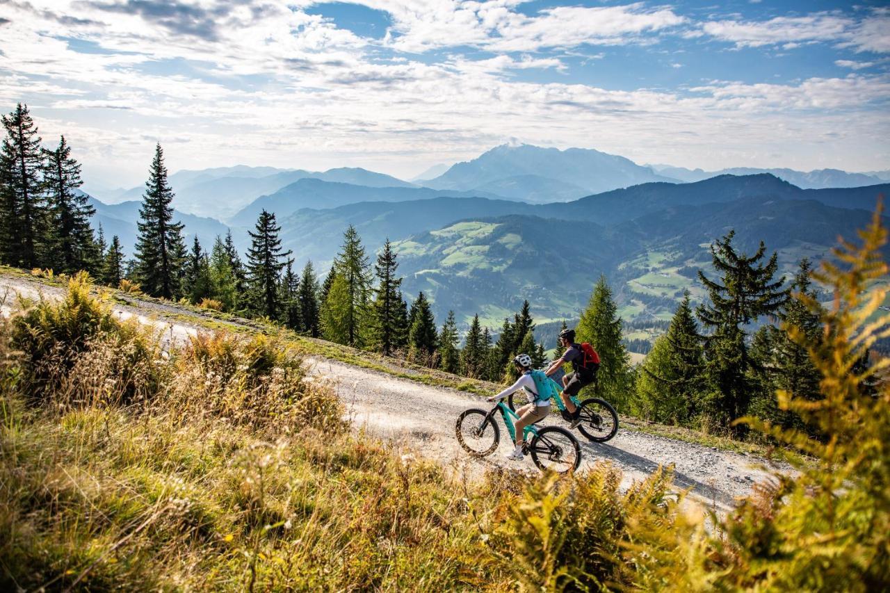 Chalet Auhof Flachau Kültér fotó