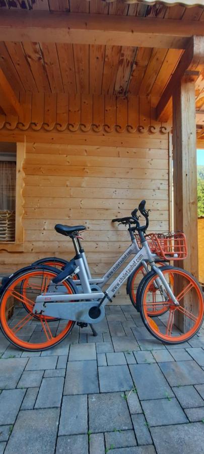 Chalet Auhof Flachau Kültér fotó