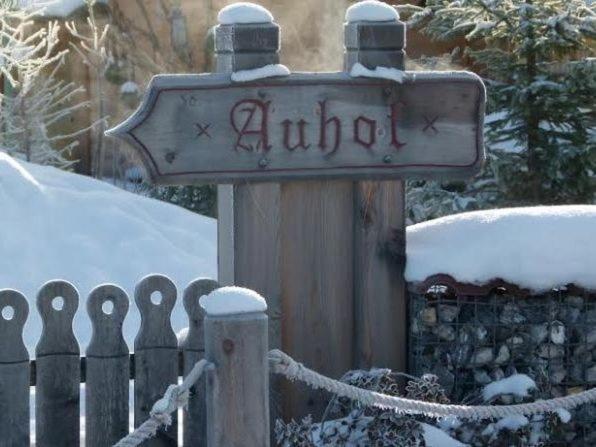 Chalet Auhof Flachau Kültér fotó